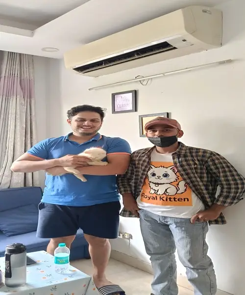 happy cat parents with their kitten from trusted Persian cat breeders