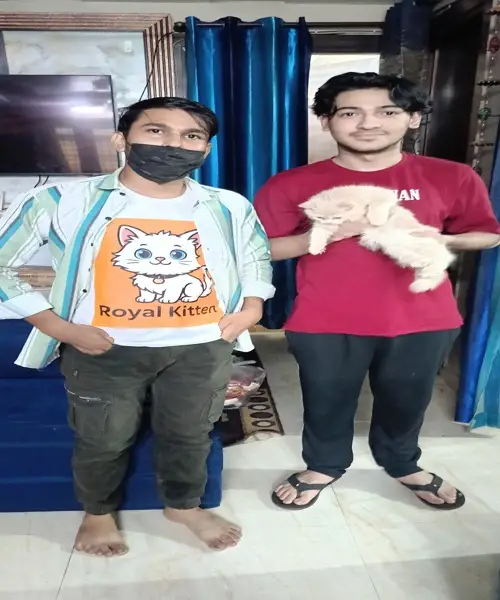 happy cat parents with their kitten from trusted Persian cat breeders