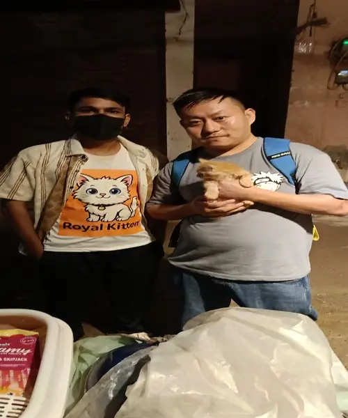 happy cat parents with their kitten from trusted Persian cat breeders