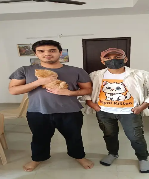 happy cat parents with their kitten from trusted Persian cat breeders