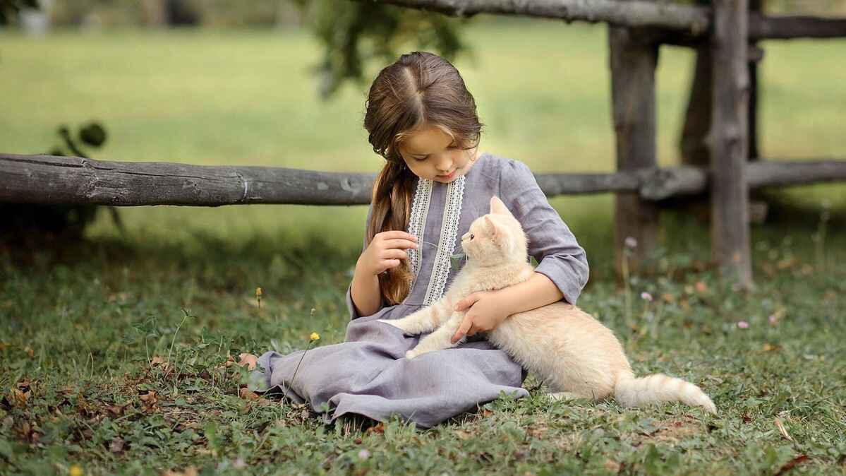 Cat Price & Cat Cost – Basic Overview