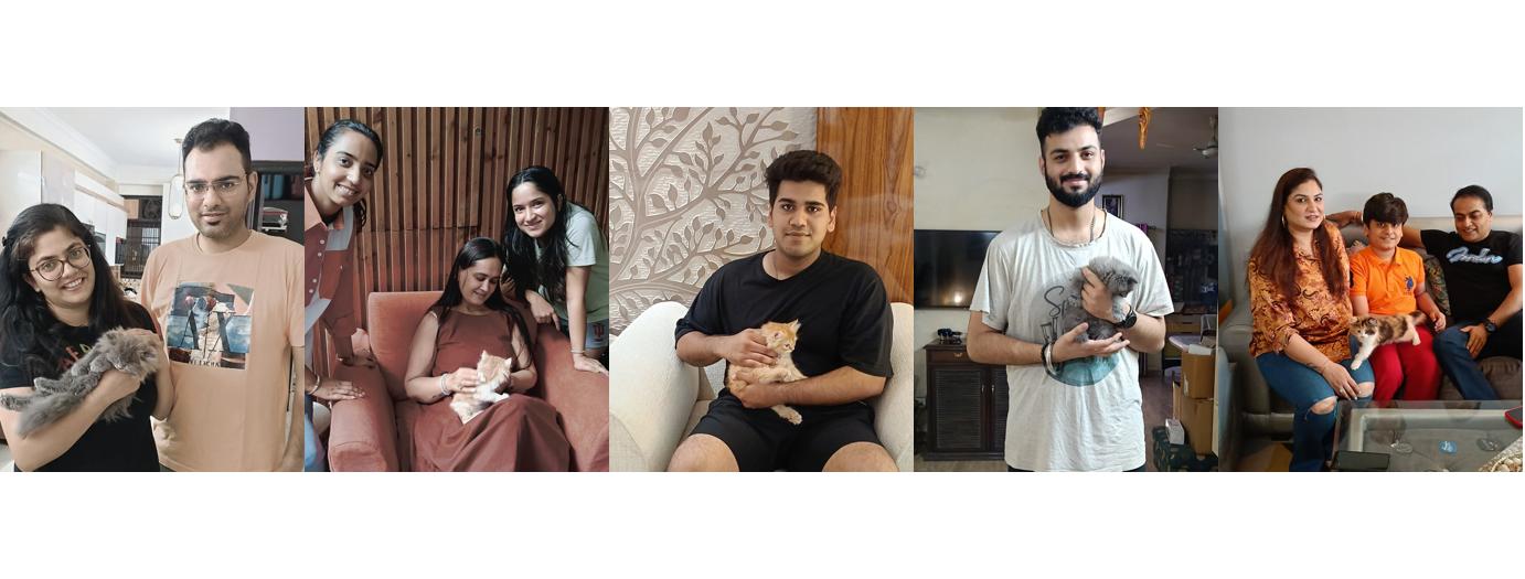 Happy customers with Persian kittens at home – persian cat for sale 3000 India reality and healthy homebred kittens