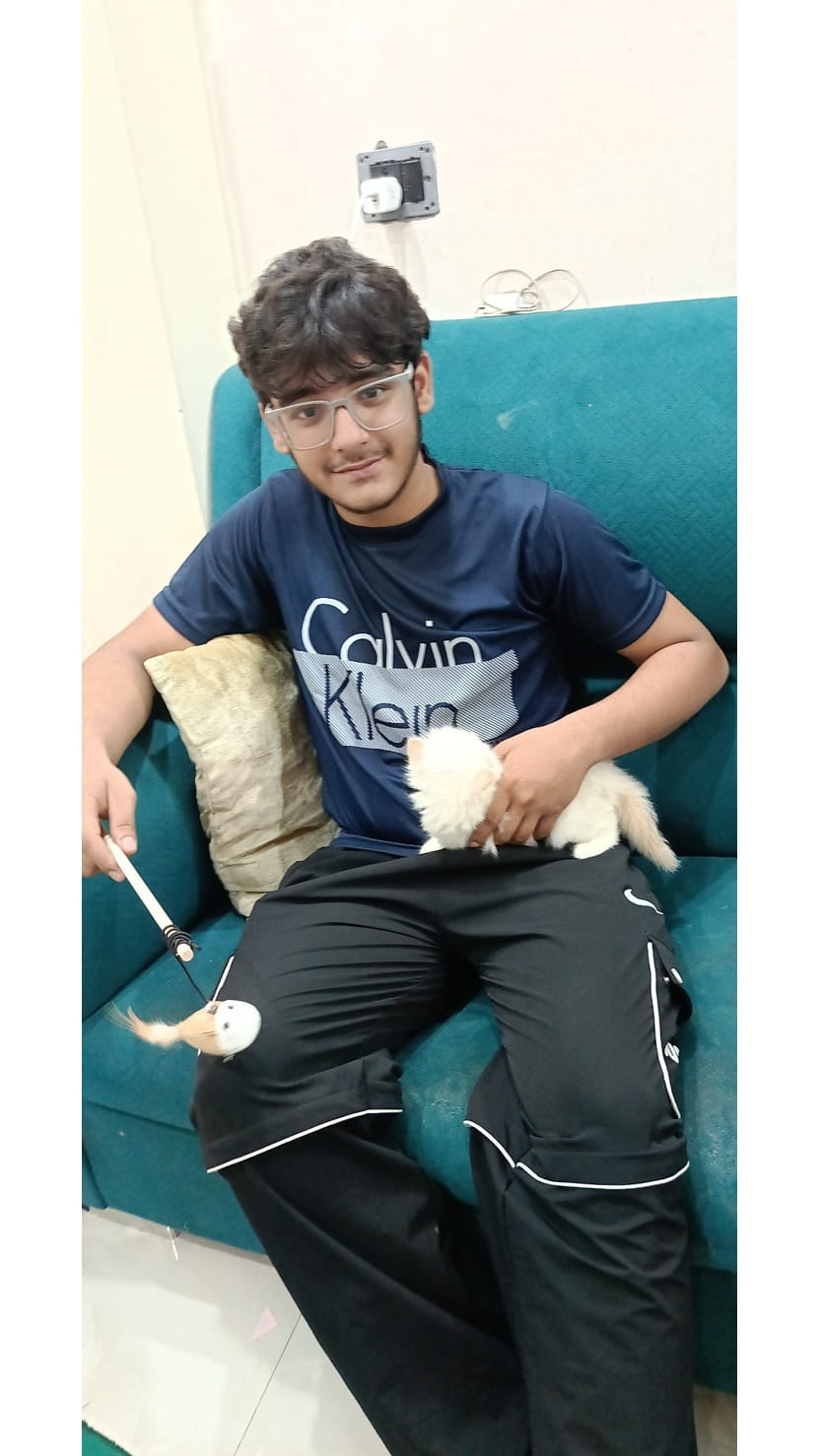 buy a cat in gurgaon