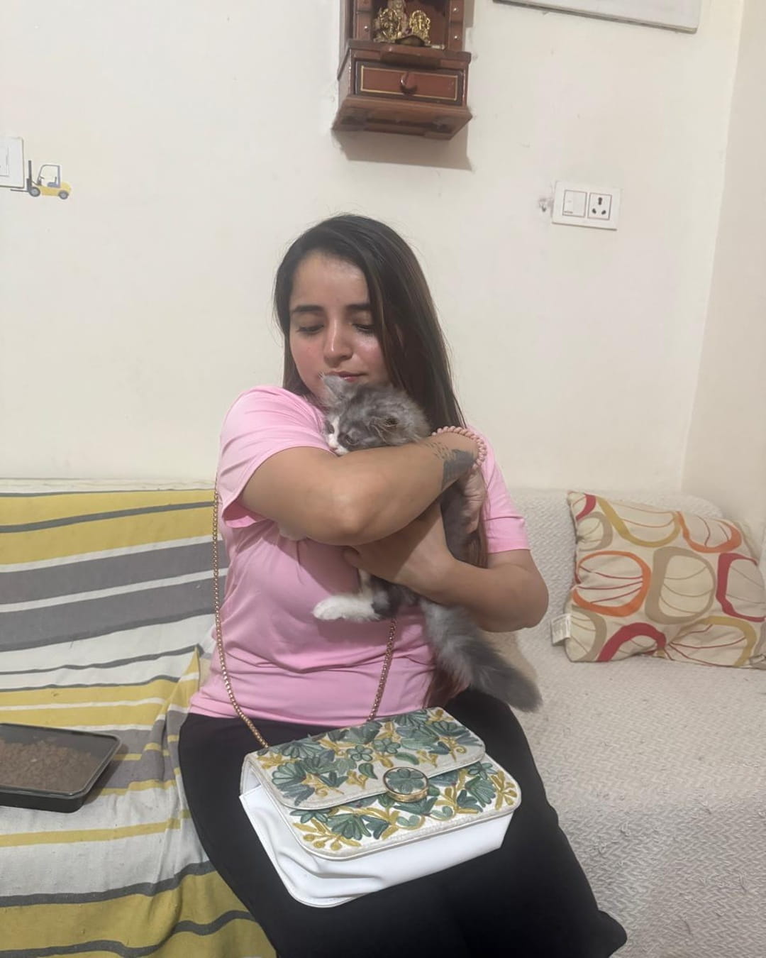 Cat for Sale in India | Buy a Healthy Cat Online at Best Cat Price | Royal Kitten